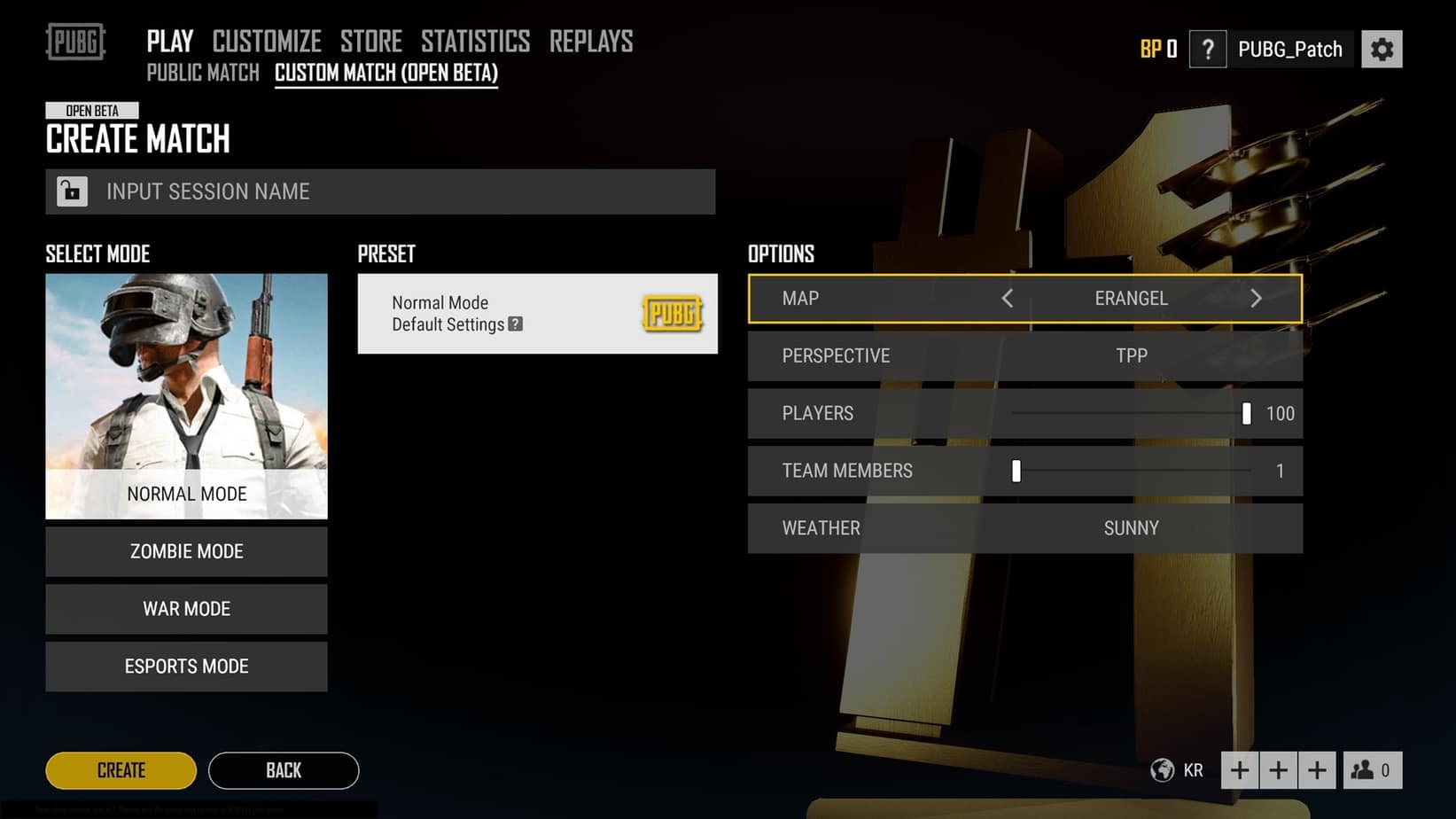 custom_pubg1