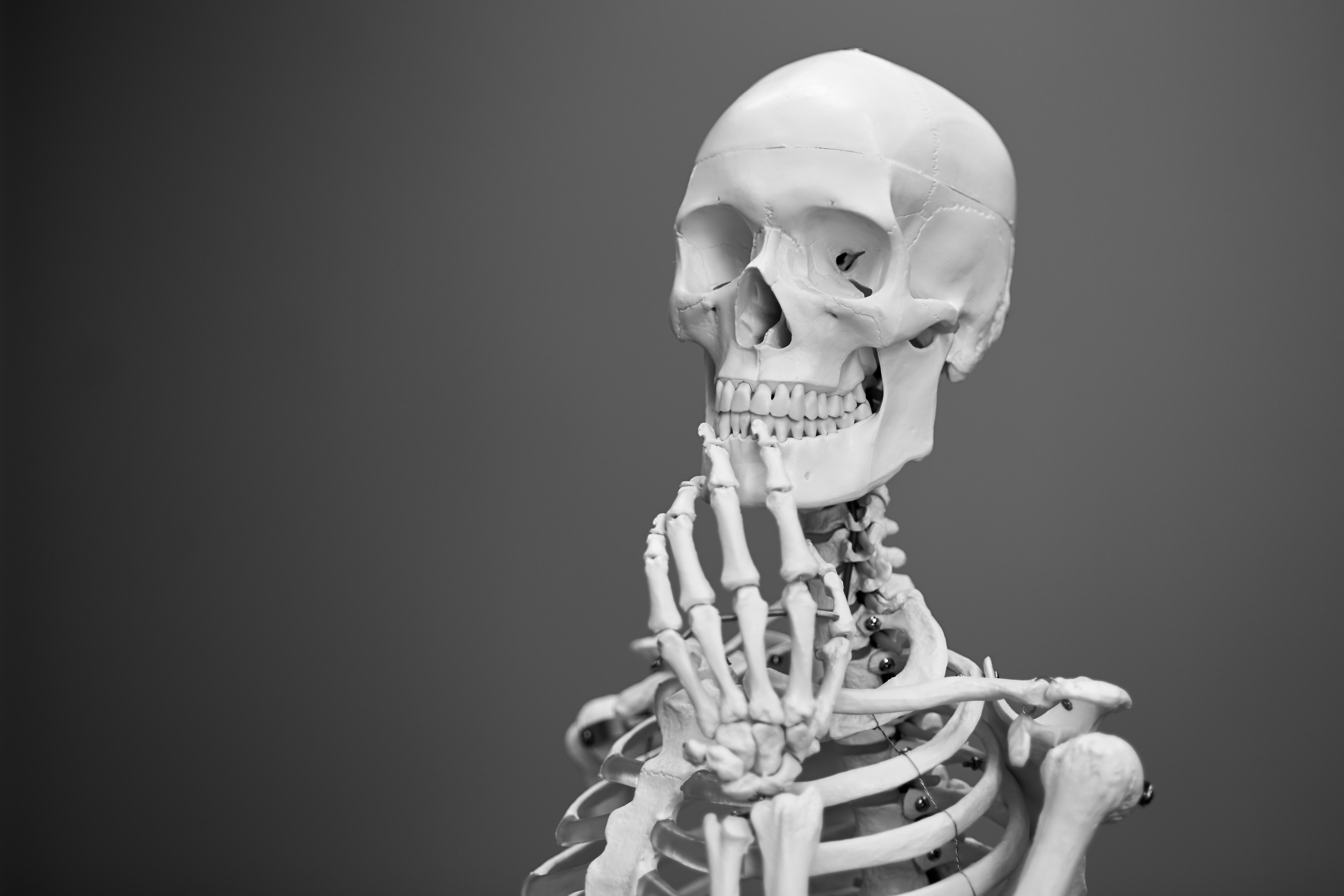 luuranko skeleton spooky halloween