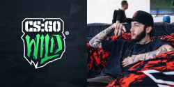 faze banks csgo wild
