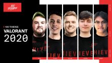 100 Thieves