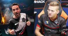 ocelote and faze niko