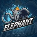 Elephant Dota 2 TI10