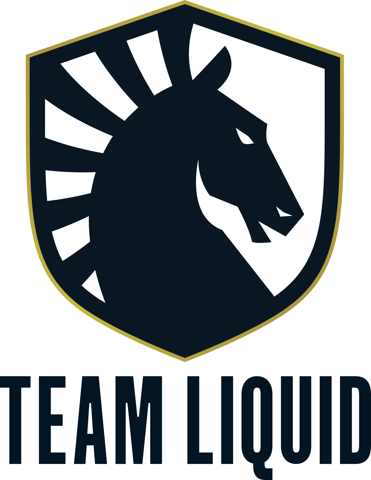 CS GO Team Liquid J senet Palkintorahat HLTV sijoitus Twitch